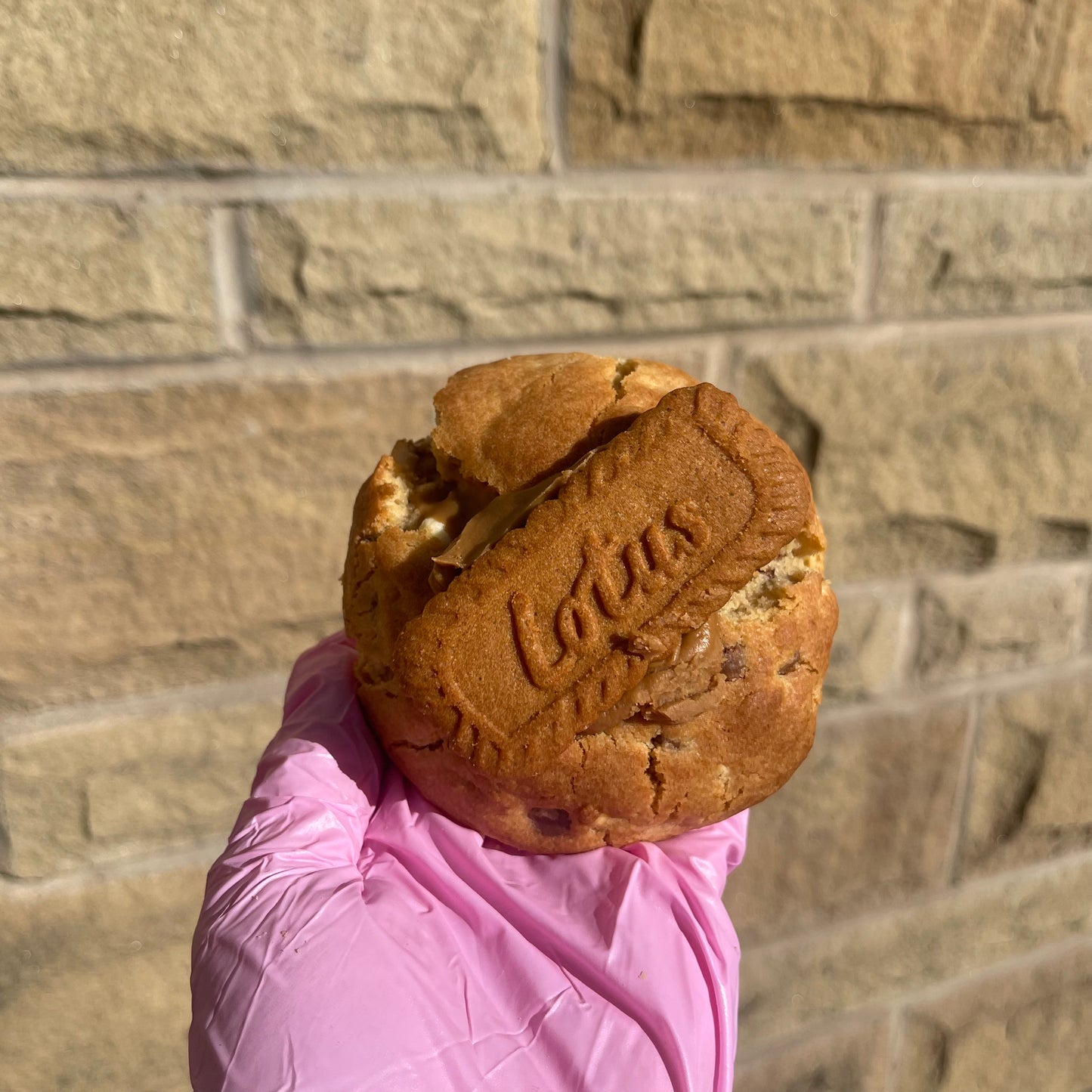Lotus Biscoff Stuffed Cookie